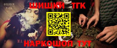гашик Боровичи