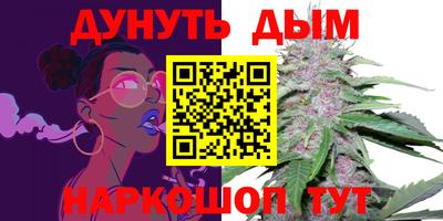 гашик Боровичи