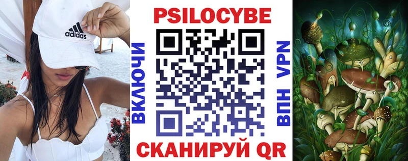 купить закладку  Тобольск  Псилоцибиновые грибы GOLDEN TEACHER 