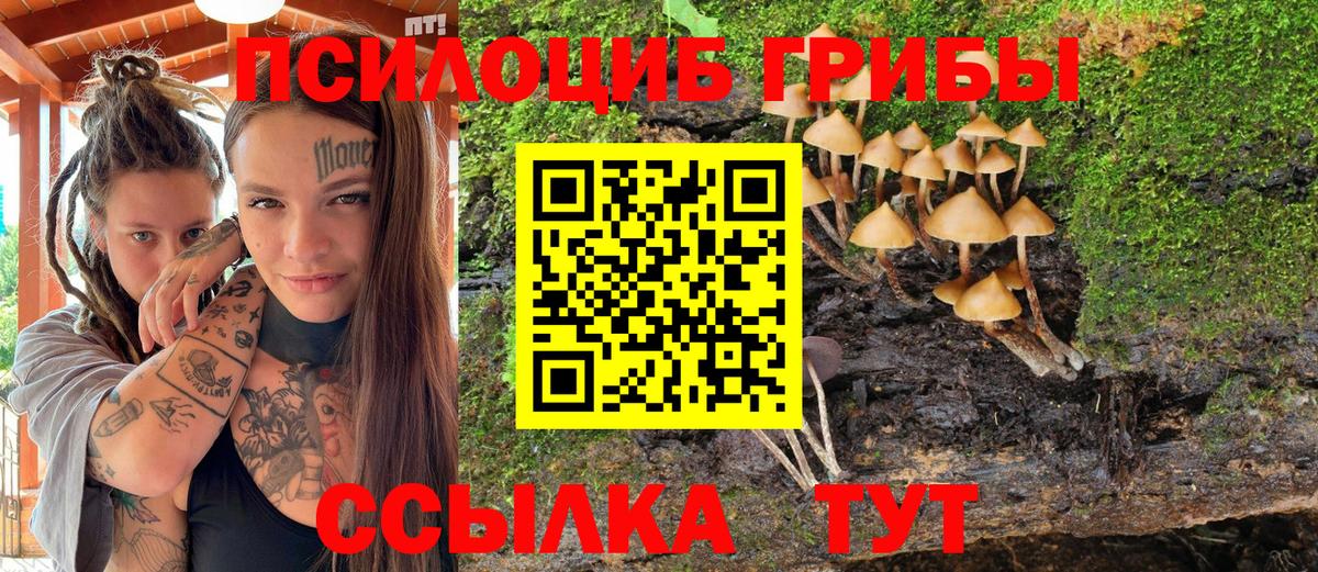 Галлюциногенные грибы MAGIC MUSHROOMS Тобольск